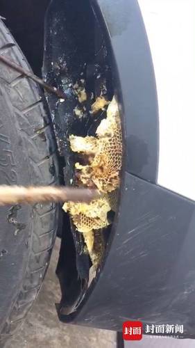 男子在新车挡泥板掏出蜂窝被4S店怼 当地消协介入