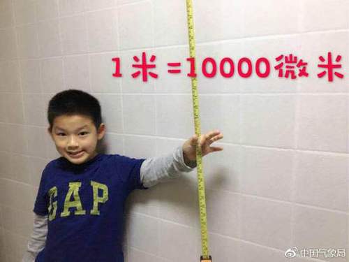 上海小鲜肉的台风日记:拿木板钻入床底演练避险