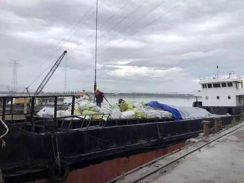 数百吨韩国旧衣偷运进来 你淘到的名牌或暗藏细菌