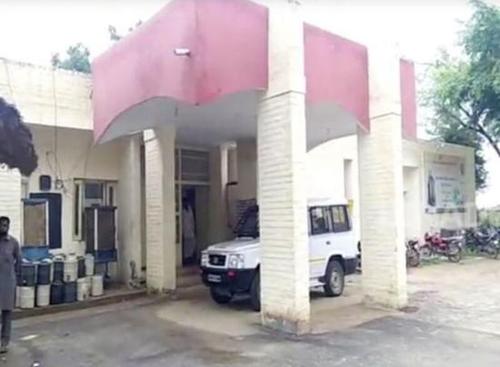 印度8名男子轮奸怀孕山羊致其死亡 有人称享受其中