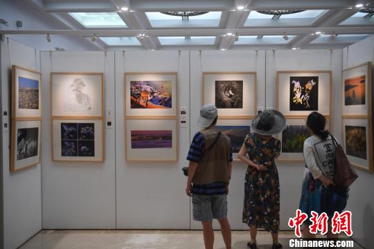 第三届世界华侨华人摄影展走进宁夏