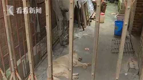 微信图片编辑_20180808111209.jpg