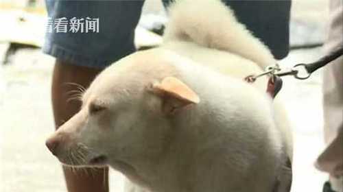 微信图片编辑_20180808111229.jpg