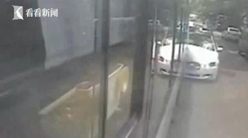 男子开车遭后座哈士奇咬衣服 回头打狗追尾公交车