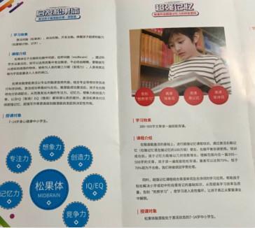 图为该机构出示的宣传手册 <a target='_blank' href='http://www.chinanews.com/' >中新网</a> 杨雨奇摄
