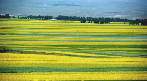 QQ截图20180816102816