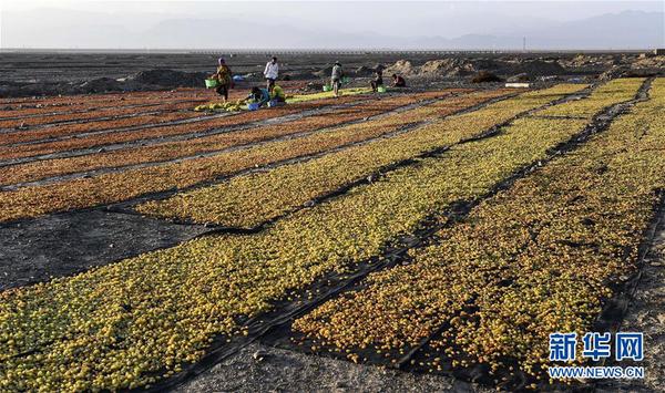 129931064_15339054012831n