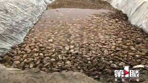 5人先后意外中毒身亡 罪魁祸首竟是自家泡菜池