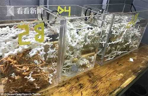 975929c25ba5a2a93702f47394e4a8e3.jpg 4F6ABC6900000578-6099969-image-m-13_1535298291644.jpg