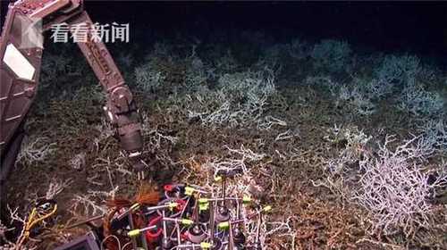 577b02940a72daac18c72b660ed6befa.jpg 5b81fc2f200000430034b2e3.jpg