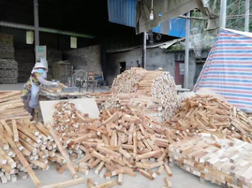 位于实验区的木材加工厂。