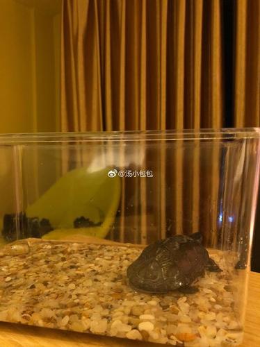 d43fef059d7ba557869dba3d3dbbcba8.jpg 1.jpg