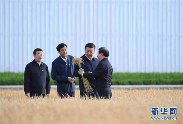 9月25日，中共中央总书记、国家主席、中央军委主席习近平抵达黑龙江省开始考察。这是习近平在黑龙江农垦建三江管理局了解粮食生产和收获情况。 2