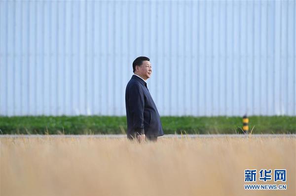 9月25日，中共中央总书记、国家主席、中央军委主席习近平抵达黑龙江省开始考察。这是习近平在黑龙江农垦建三江管理局了解粮食生产和收获情况。 3