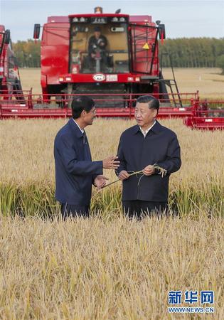 9月25日，中共中央总书记、国家主席、中央军委主席习近平抵达黑龙江省开始考察。这是习近平在七星农场万亩大地号了解粮食生产和收获情况。