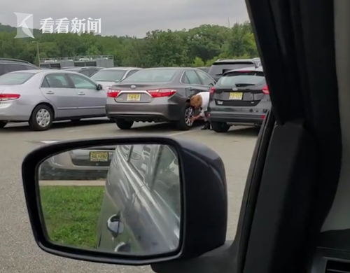 美国女子倒车硬挤刮掉邻车轮圈盖 发现修不好溜了!