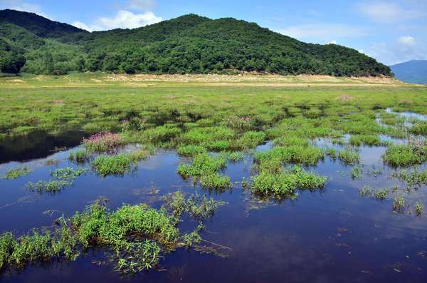 自然保护区 自然保护区