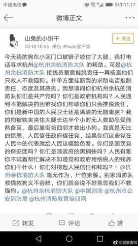 消防称只救人不救狗被骂尸位素餐 中国消防回应