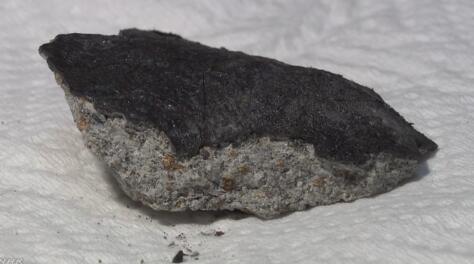 t0179229371cbfc72d3.jpg?size=474x264