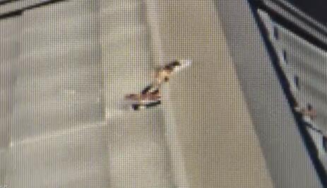 t01ac72139d48a02dc8.jpg?size=463x267