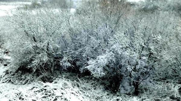 2018年10月15日，黑龙江黑河降下今冬首场雪。