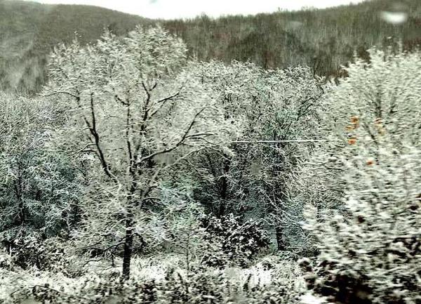 2018年10月15日，黑龙江黑河降下今冬首场雪。2