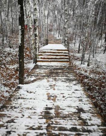 2018年10月15日，黑龙江黑河降下今冬首场雪。3