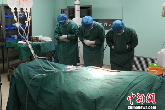 江西樟树一女子因车祸离世家属无偿捐献器官救3人（图）