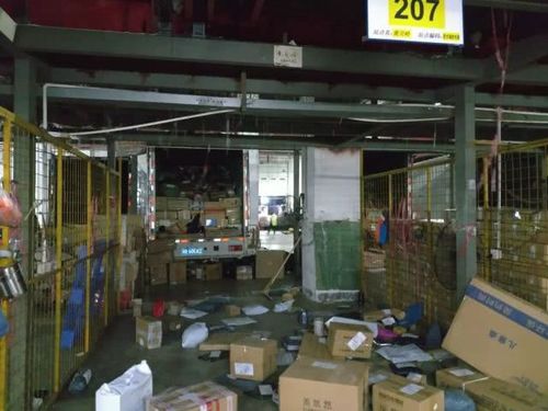 高校让大学生到物流公司分拣快递:为双十一做准备