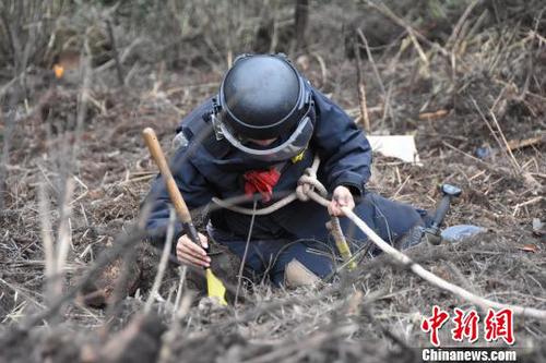 图为一名搜排手在进行搜排作业。 钟建珊 摄