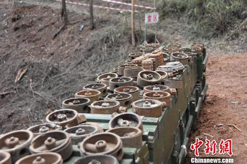 图为扫雷队展示在该雷场搜排出的数十枚地雷。 钟建珊 摄