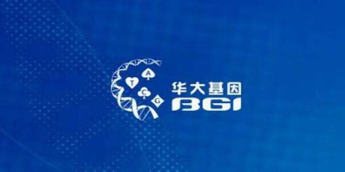 华大基因