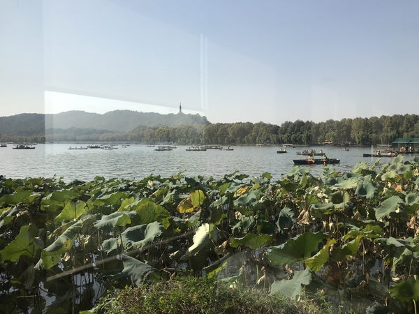 微信图片_20181030143100