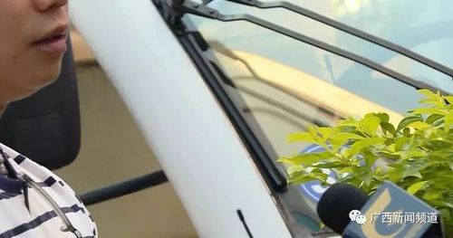 初中生持刀追砍同龄生 学校无法开除警方不予立案