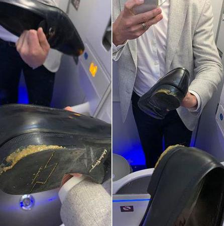 美国乘客坐达美航空被狗屎包围 空乘:不关我的事