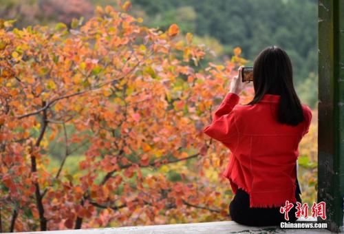 点击进入下一页