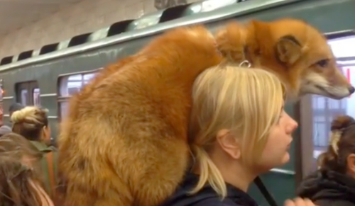 1542597308729761.png 微信图片_20181119105218.png