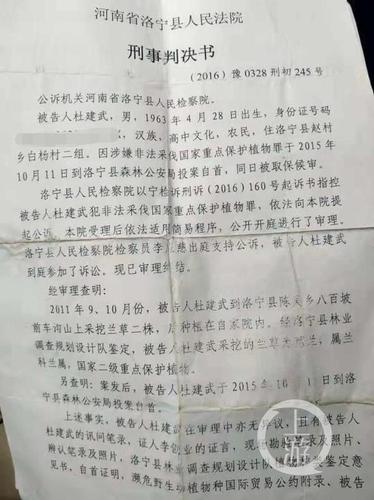 8人因采兰草获刑 定罪标准与卢氏兰草案如出一辙