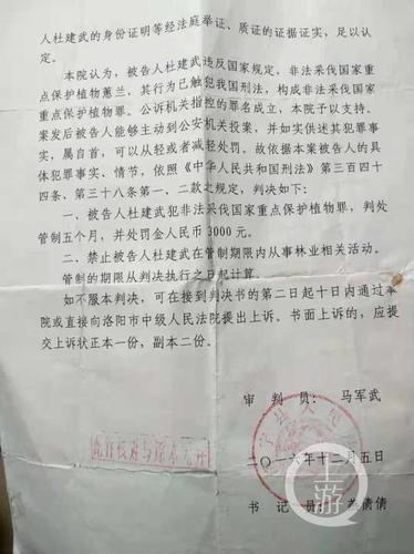 8人因采兰草获刑 定罪标准与卢氏兰草案如出一辙