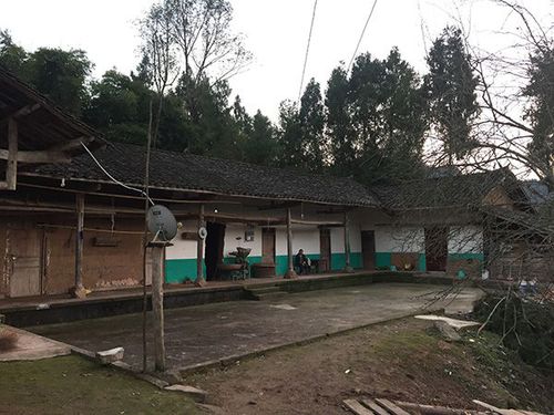 少女宿舍遇害:凶手曾表白遭拒自残 被批评后认错