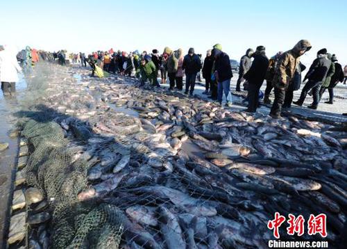 查干湖冬捕打上来的鱼(资料图) 张瑶 摄