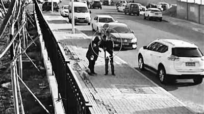 “碰瓷”又出新花样 专盯犬主下手