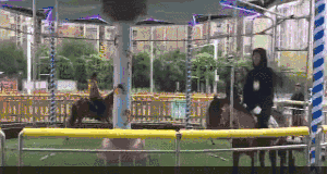 旋转真马重开后又停了 项目负责人:跟舆论无关