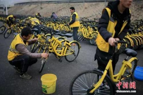 资料图：ofo小黄车。 <a target='_blank' href='http://www.chinanews.com/'>中新社</a>记者 佟郁 摄 