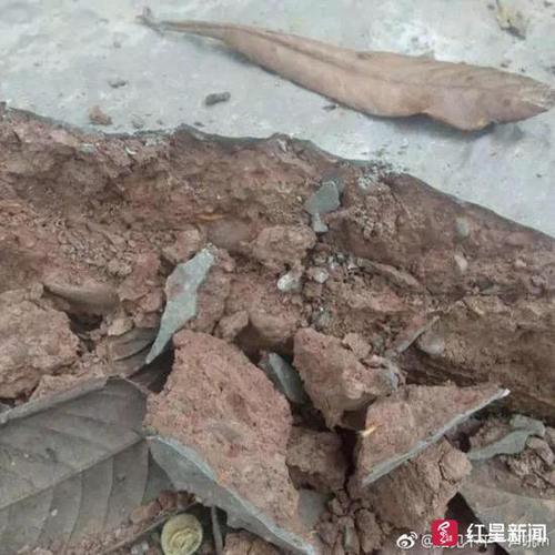 村道被修成“纸片路”4村官入狱 判决书达68页