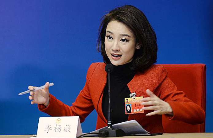 北京市政协十三届二次会议召开记者会 政协委员围绕“助力北京冬奥会、冬残奥会，推动本市冰雪运动发展”主题答记者问