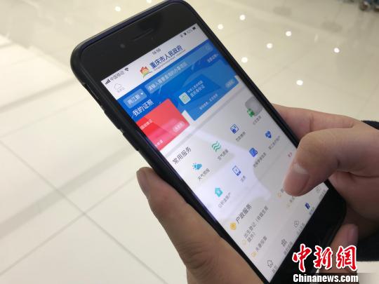 图为市民登陆重庆“渝快办”移动政务服务平台查阅相关信息。　钟旖 摄