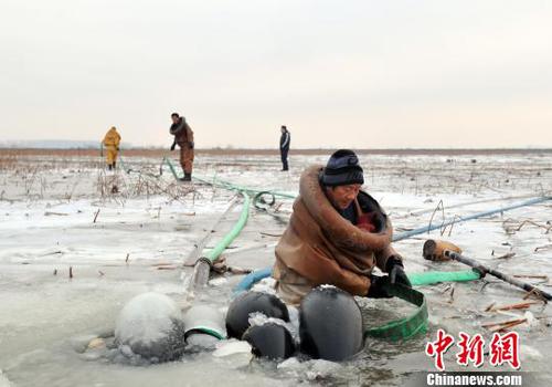 图为挖藕人正在安装高压水枪。 韩冰 摄 图为挖藕人正在安装高压水枪。 韩冰 摄