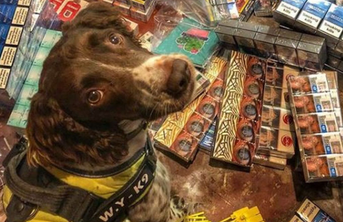 1548375335345194.png 1548375335345194.png