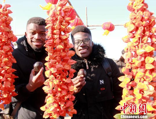 对冻秋梨也倍感好奇。　赵桂华 摄